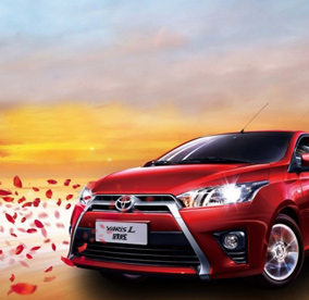 定色剂、控色剂