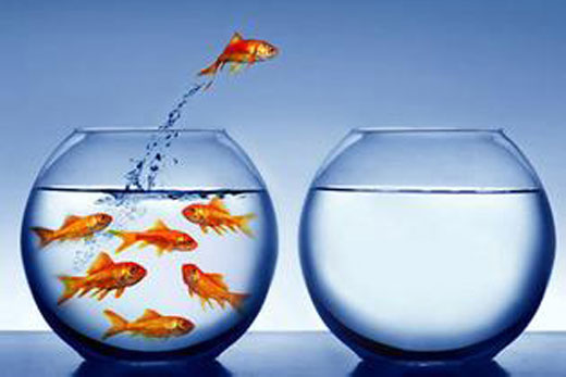 涂料品牌.jpg 涂料品牌.jpg