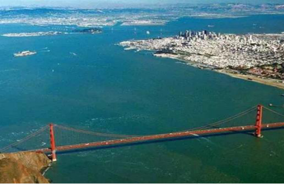 1574493758410135.png 1574493758410135.png