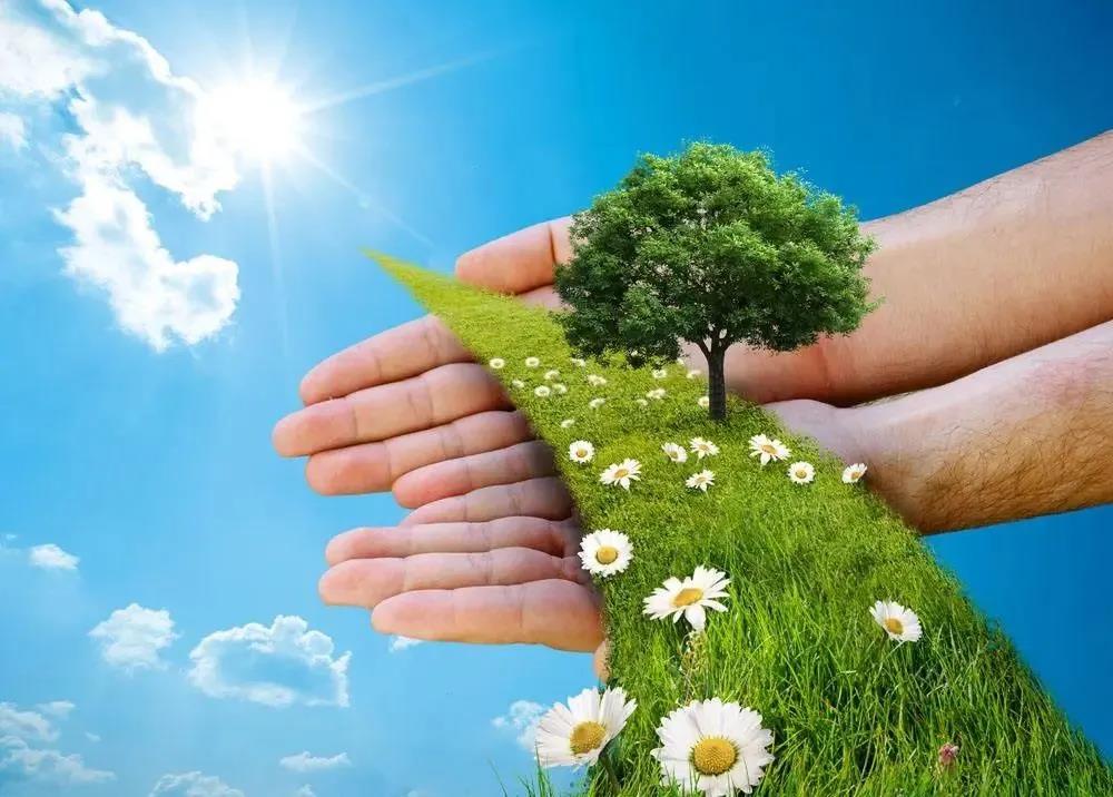 1603440310404455.jpg 微信图片_20200717113448.jpg