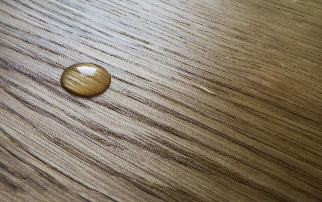 1666337741813257.jpg 微信图片_20221021152304.jpg